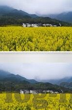 八方水果机技巧下载-八方水果机技巧下载，提升游戏胜率的有效策略