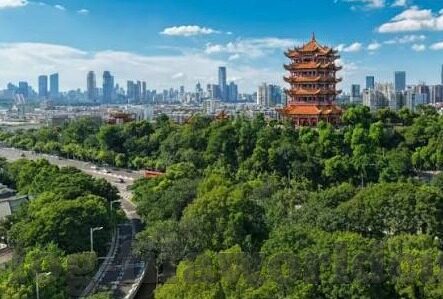 世界杯佩佩参加吗-佩佩参加2022年卡塔尔世界杯，葡萄牙后防中坚的力量